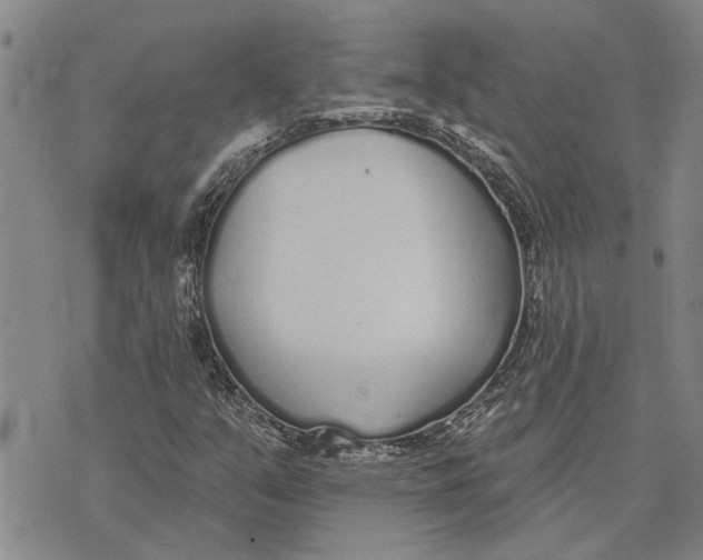 X0000073711351200608311744