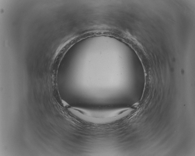 X0000073711352200608311744