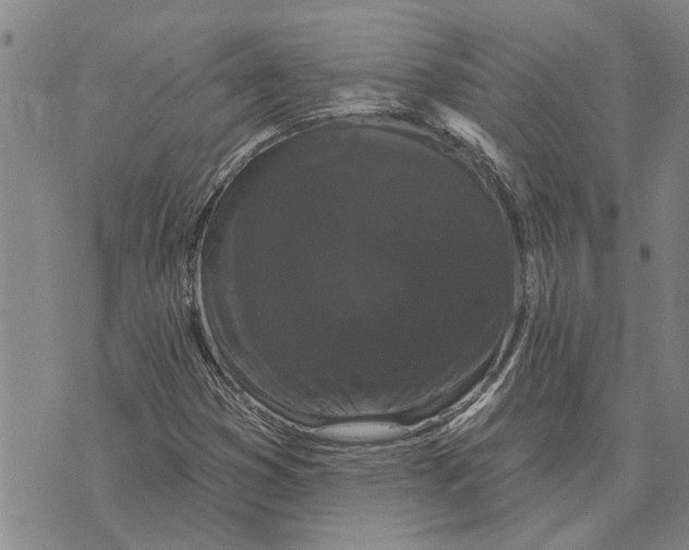 X0000073711353200608311744