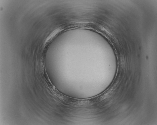 X0000073711354200608311744