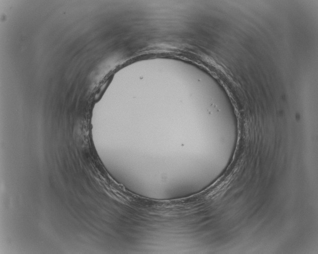 X0000073711355200608311744