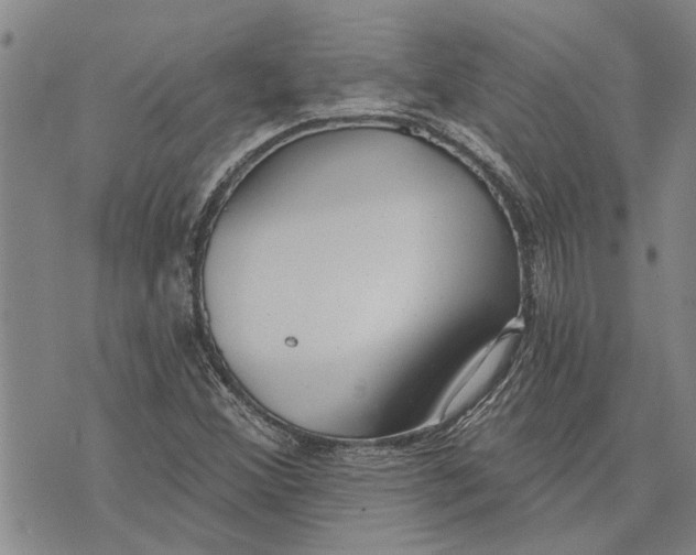 X0000073711356200608311744