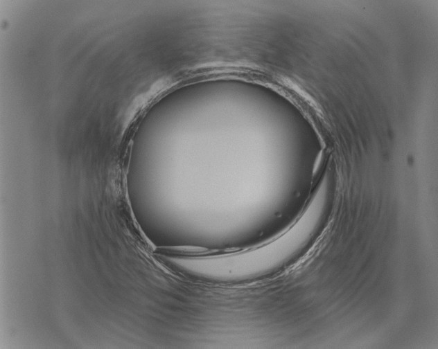 X0000073711357200608311744