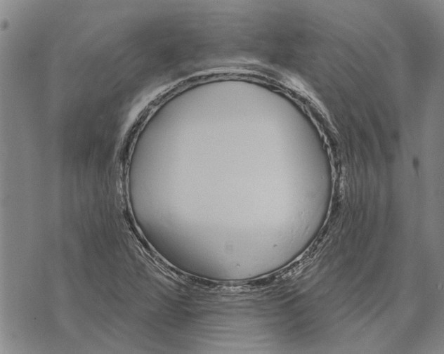 X0000073711360200608311744