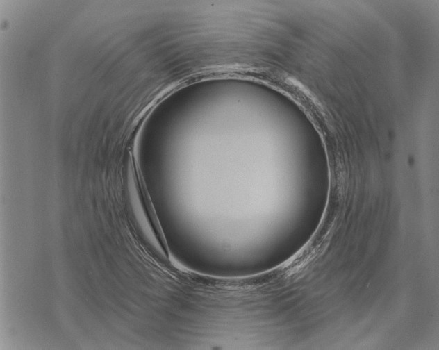 X0000073711361200608311744