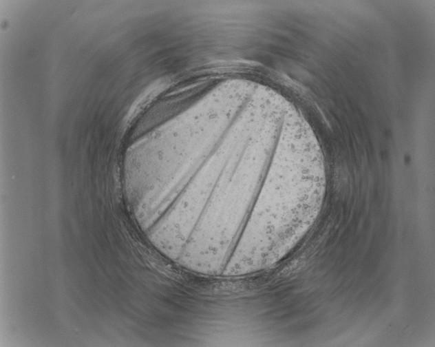 X0000073711362200608311744