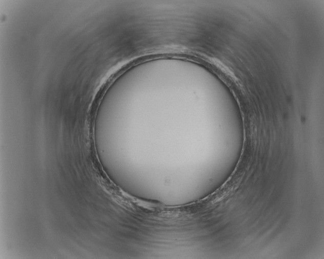 X0000073711364200608311744