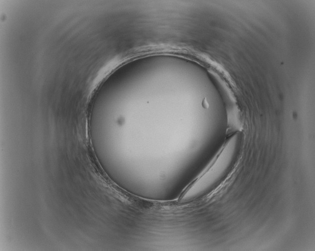 X0000073711365200608311744