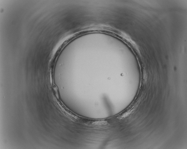 X0000073711368200608311744