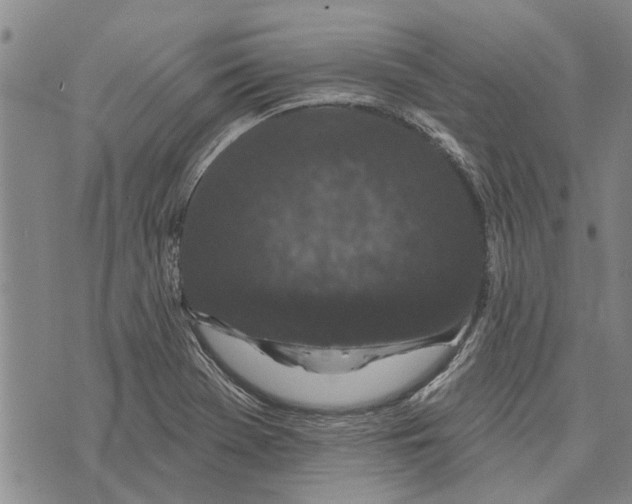 X0000073711369200608311744