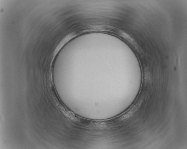 X0000073711370200608311744