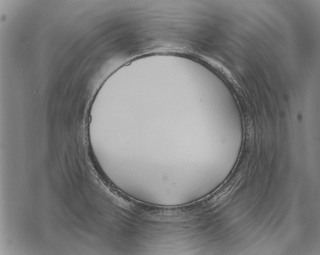 X0000073711375200608311744