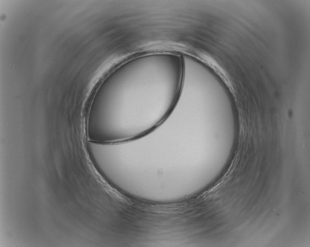 X0000073711376200608311744