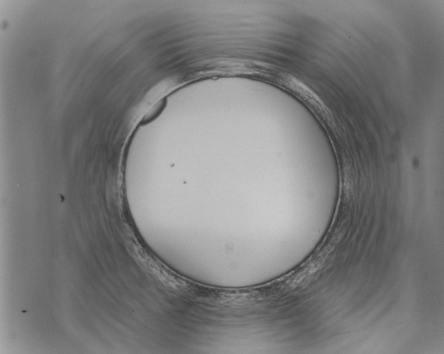 X0000073711378200608311744