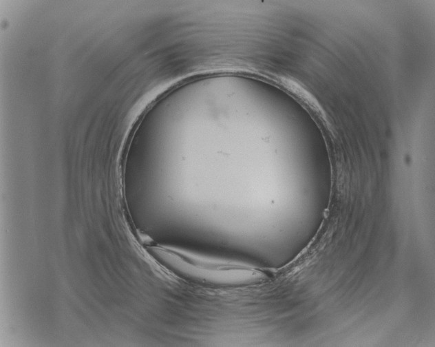 X0000073711380200608311744