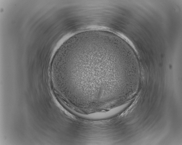 X0000073711381200608311744