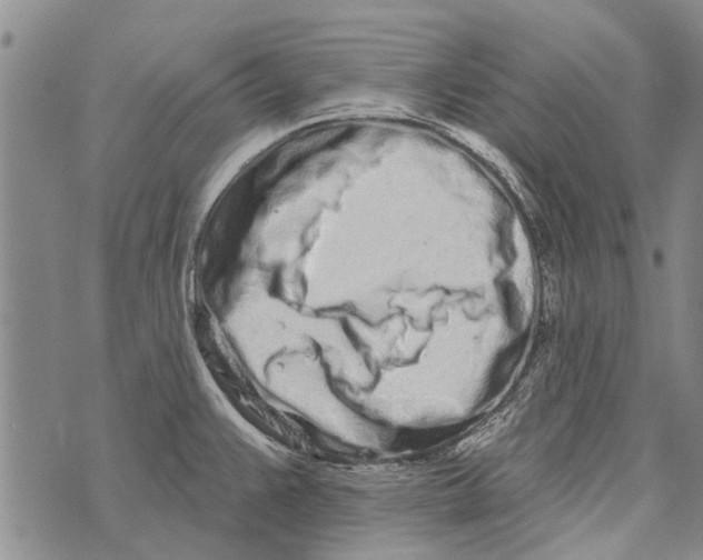 X0000073711383200608311744