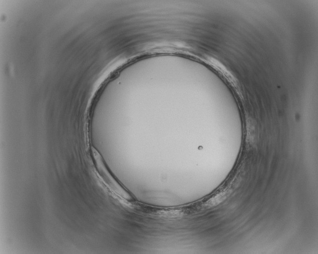 X0000073711384200608311744