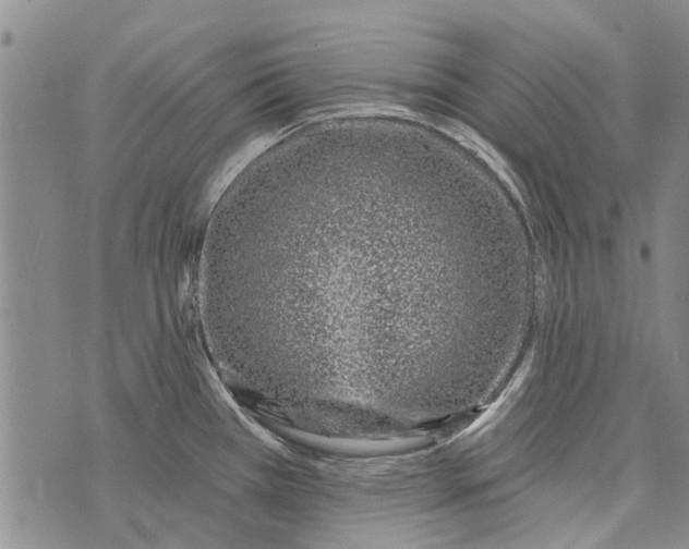 X0000073711385200608311744