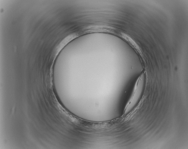 X0000073711386200608311744