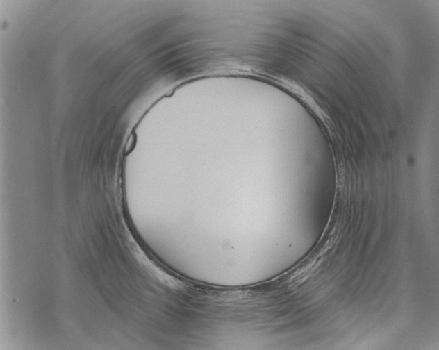 X0000073711387200608311744