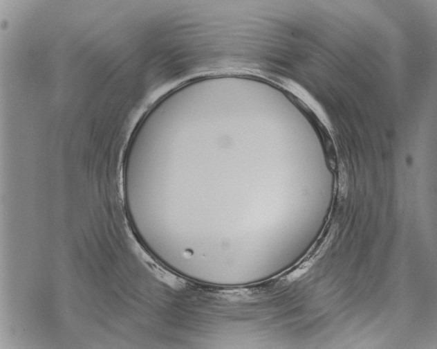 X0000073711388200608311744