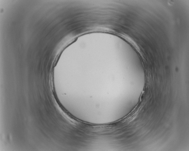 X0000073711391200608311744