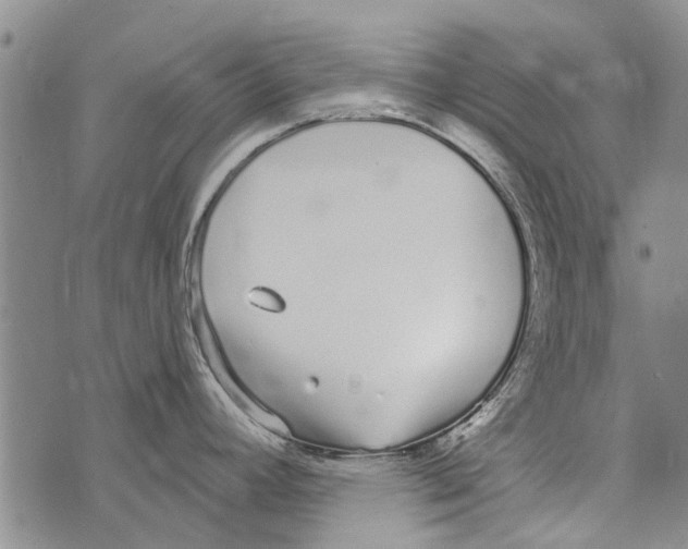 X0000073711392200608311744