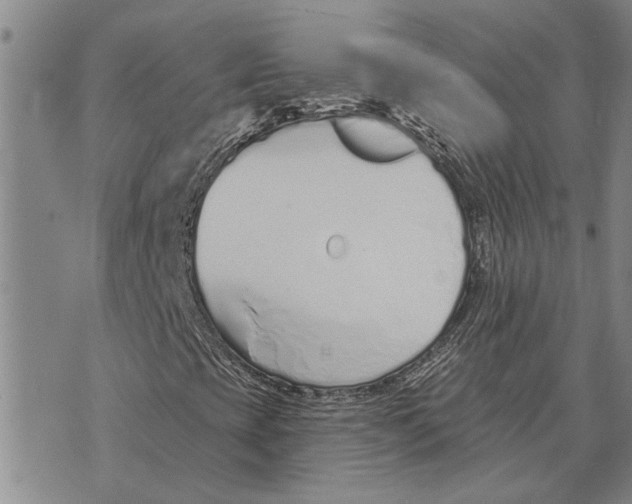 X0000073711393200608311743