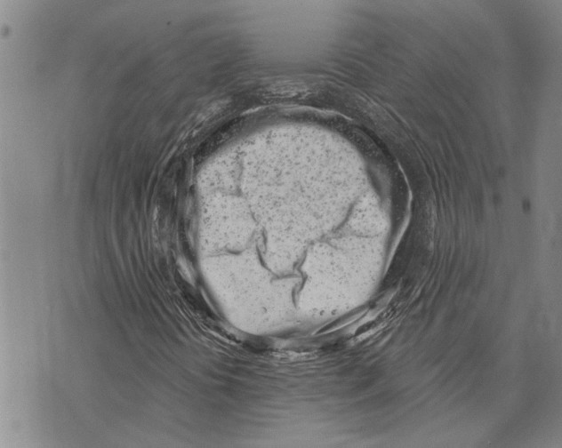 X0000073711394200608311743