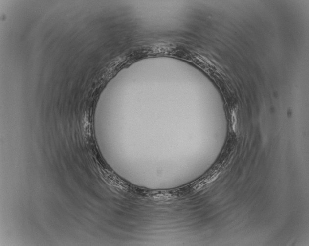 X0000073711395200608311743