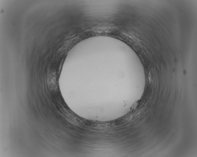 X0000073711396200608311743