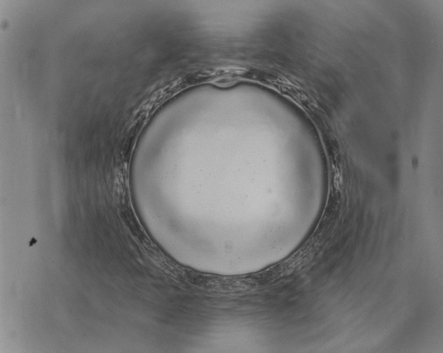 X0000073711397200608311743