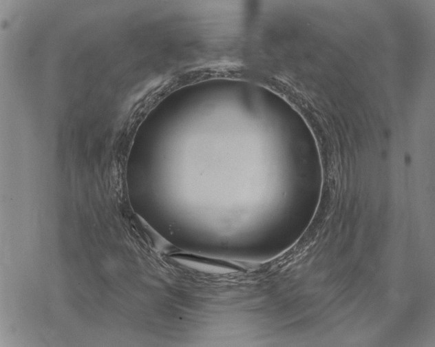 X0000073711398200608311743