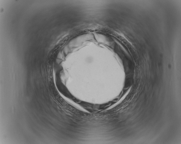 X0000073711399200608311743