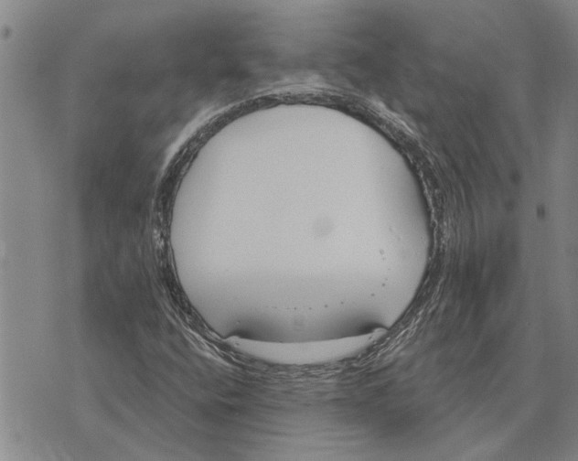 X0000073711400200608311743