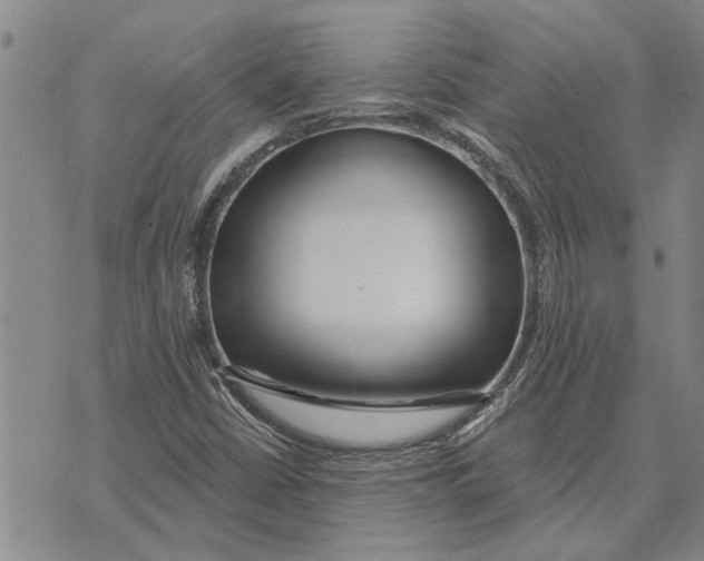 X0000073711402200608311743