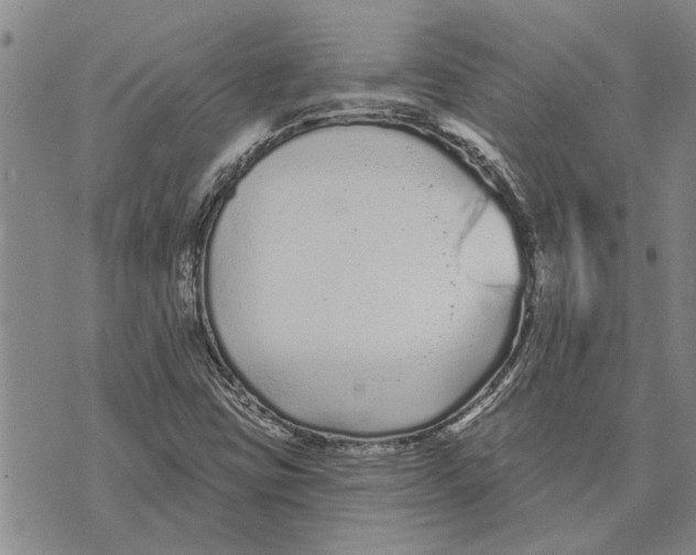 X0000073711403200608311743