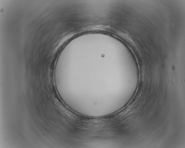 X0000073711404200608311743