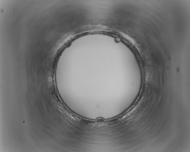 X0000073711407200608311743