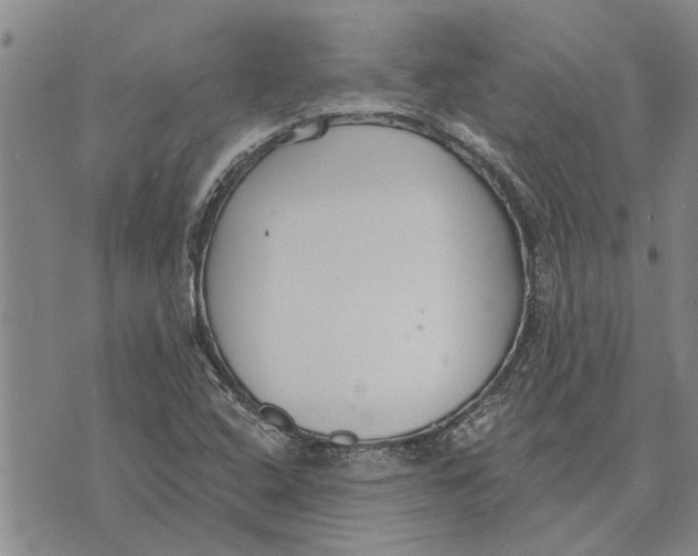 X0000073711408200608311743