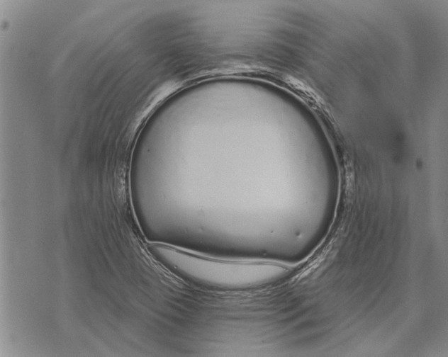 X0000073711409200608311743