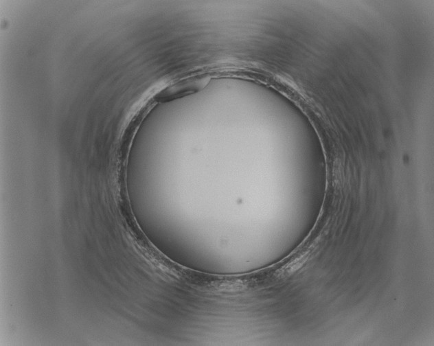 X0000073711410200608311743