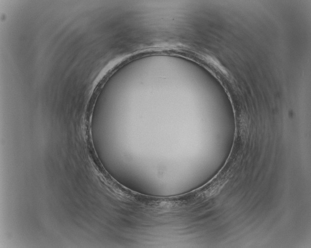 X0000073711412200608311743