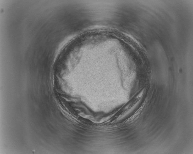 X0000073711413200608311743