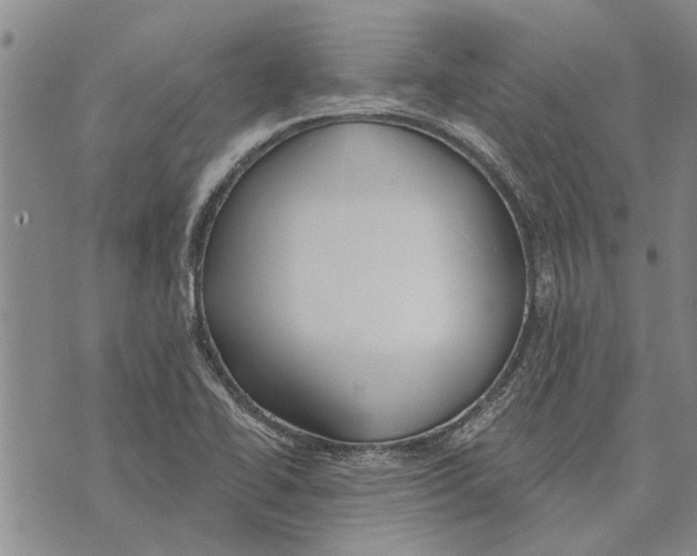 X0000073711414200608311743