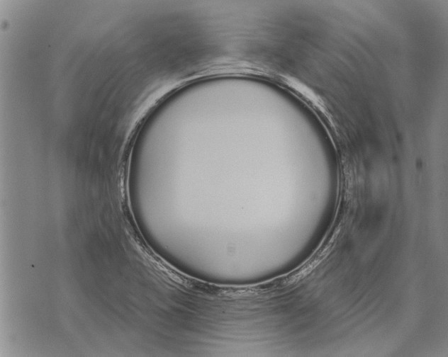 X0000073711415200608311743