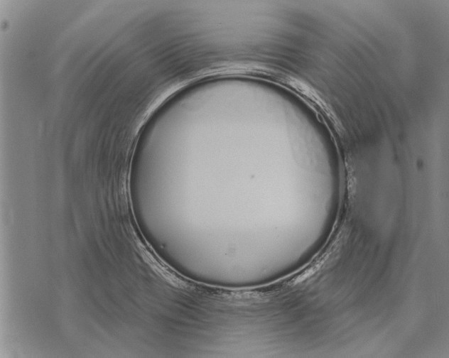 X0000073711417200608311743