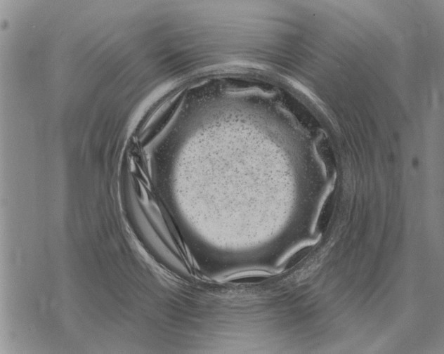 X0000073711418200608311743