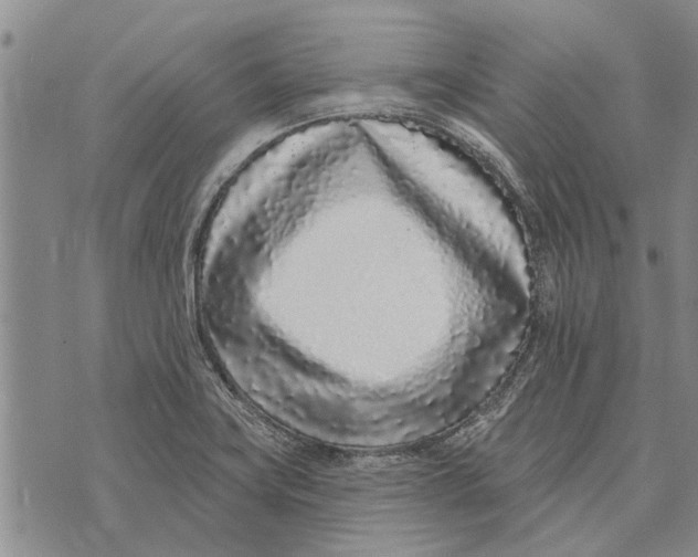 X0000073711419200608311743